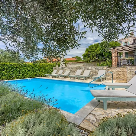 Aryana With Pool - Happy Villa Sveti Lovrec Pazenaticki